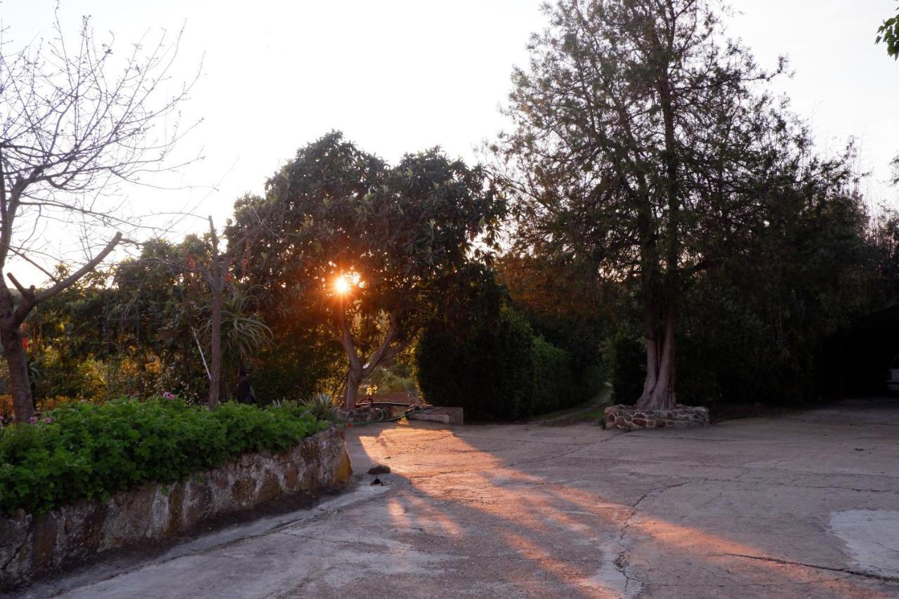 Villa Horta De Pepinais à Elvas Extérieur photo